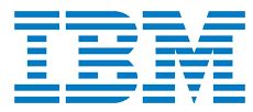 IBM Digital Business Group