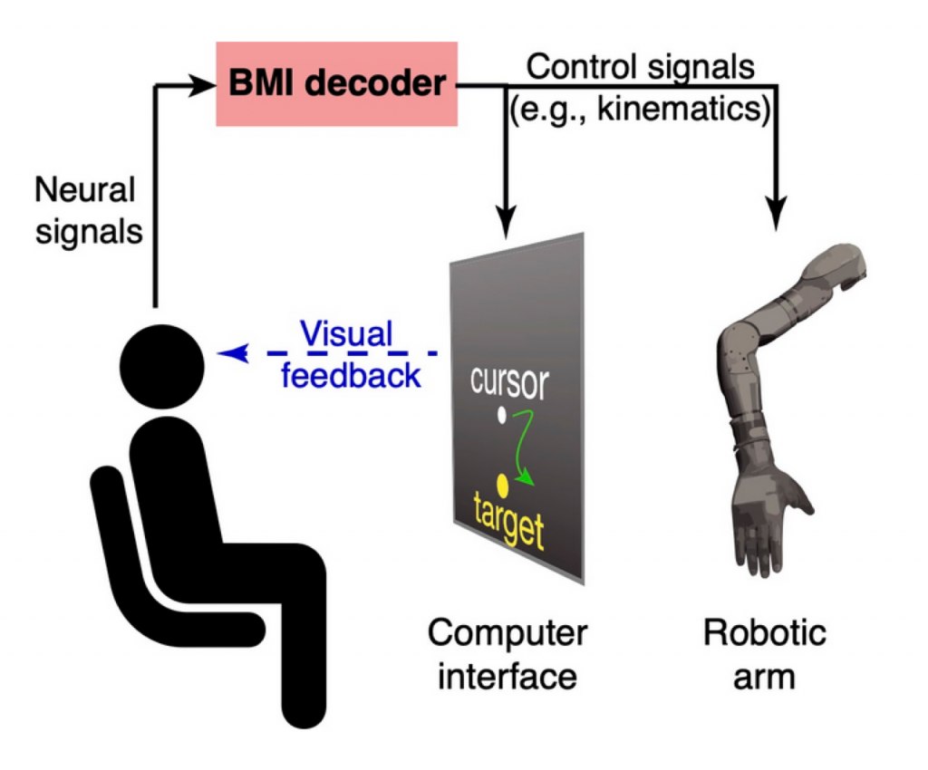 Jonathan Kao BMI decoder