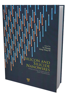Silicon and Silicide Nanowares textbook