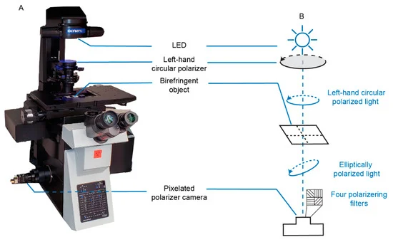 Ozcan Lab - MDPI