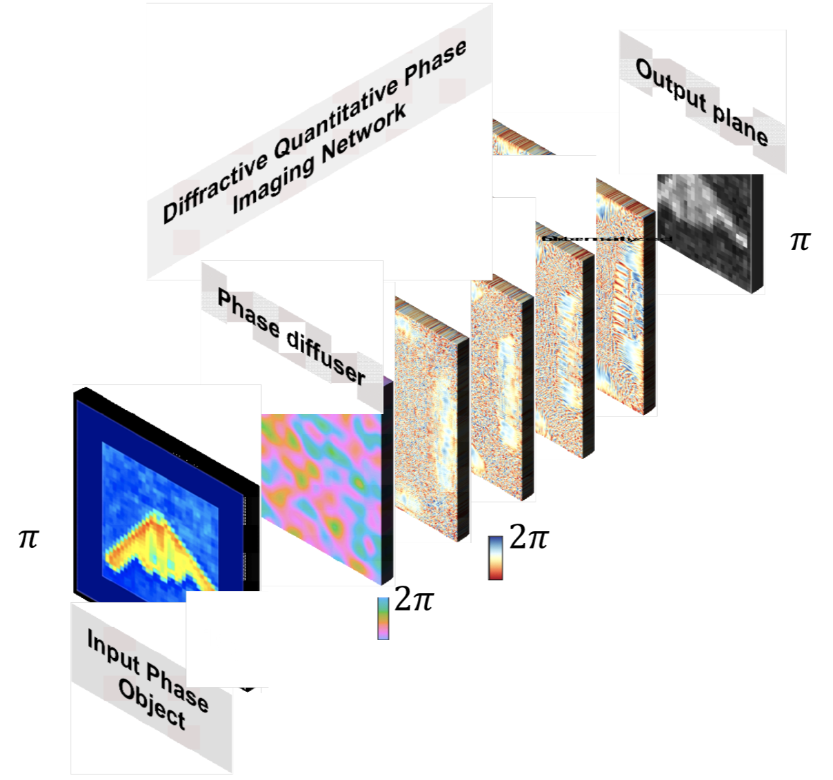 quantitative phase imaging